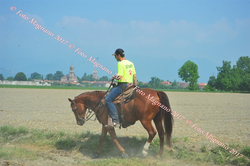DSC_0838.JPG
